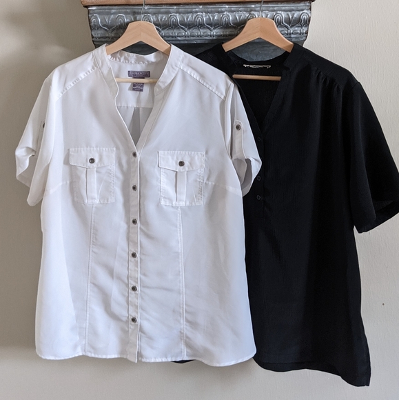 Laura scott button down shirt